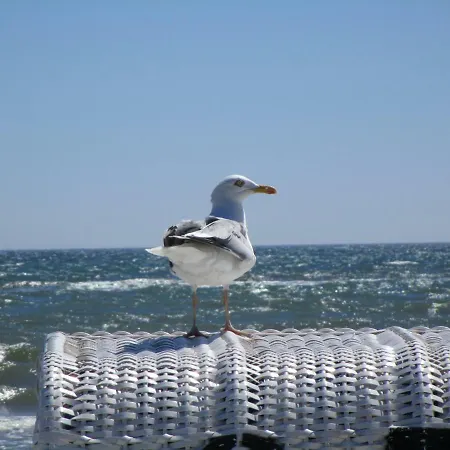 Apartment Appartementanlage Godewind *